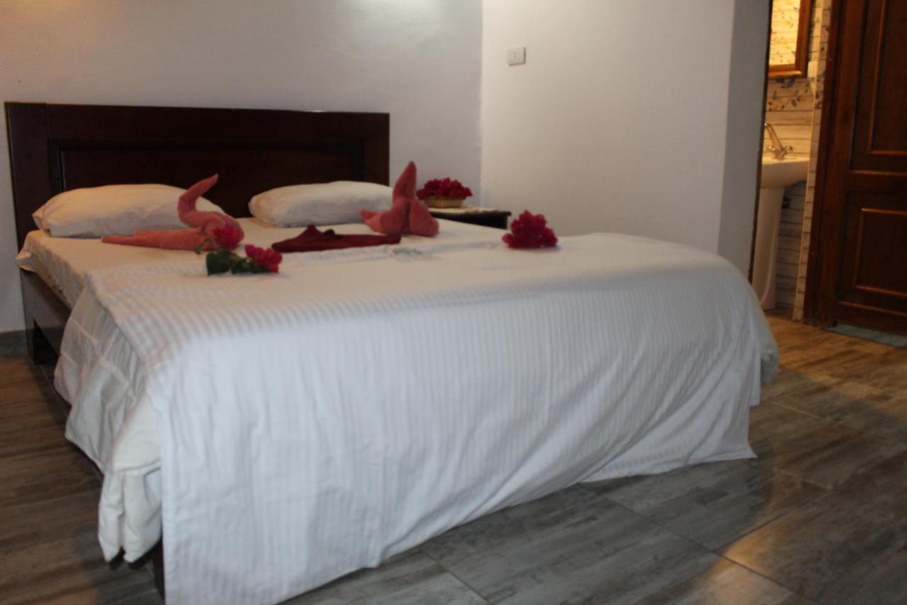 Sunshine Divers Club - Il Porto Sharm El-Sheikh