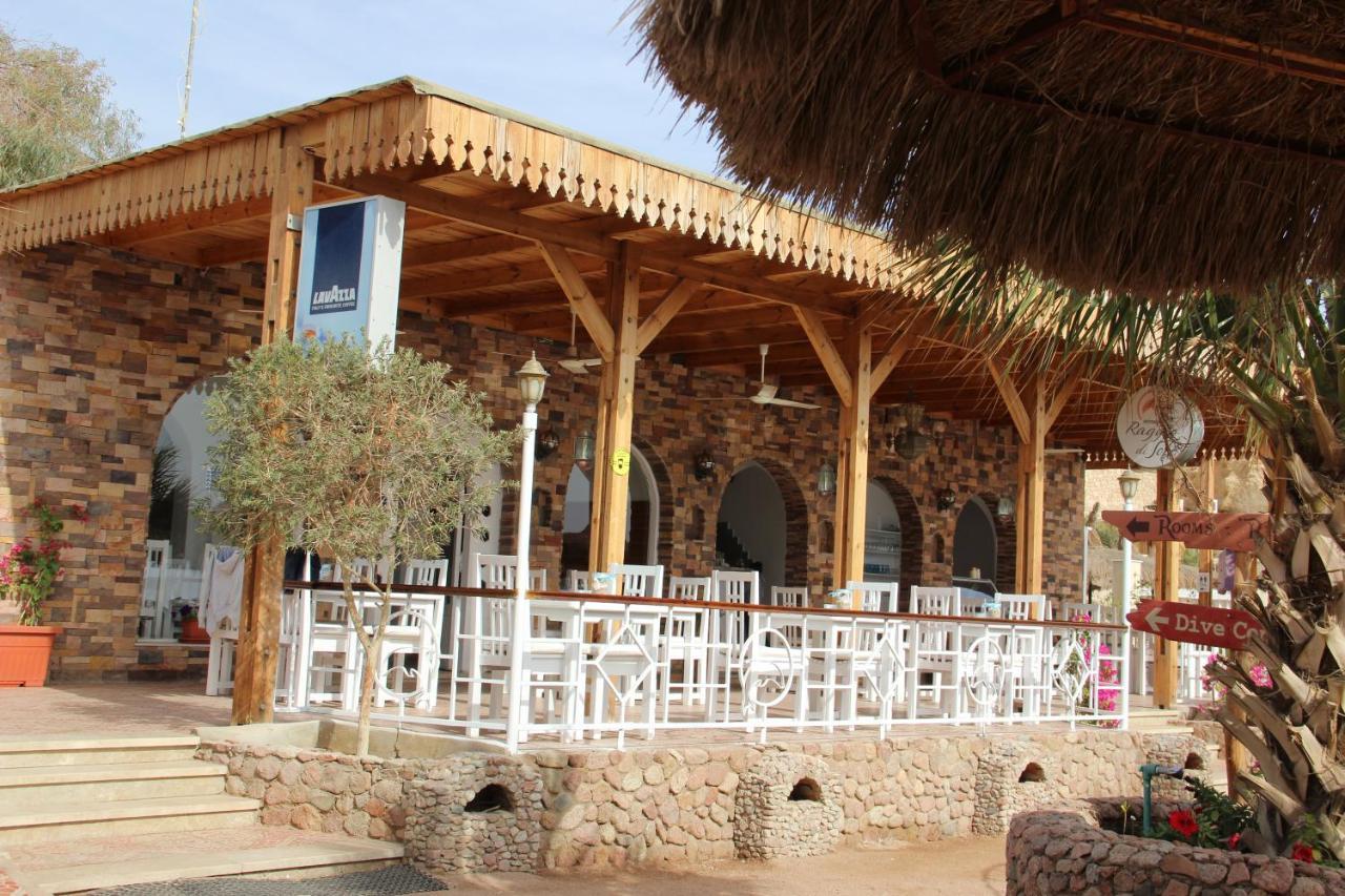 Sunshine Divers Club - Il Porto