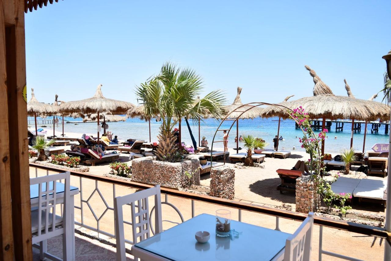 Sunshine Divers Club - Il Porto *