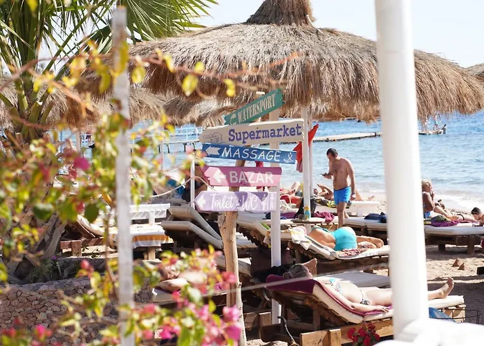 Sunshine Divers Club - Il Porto