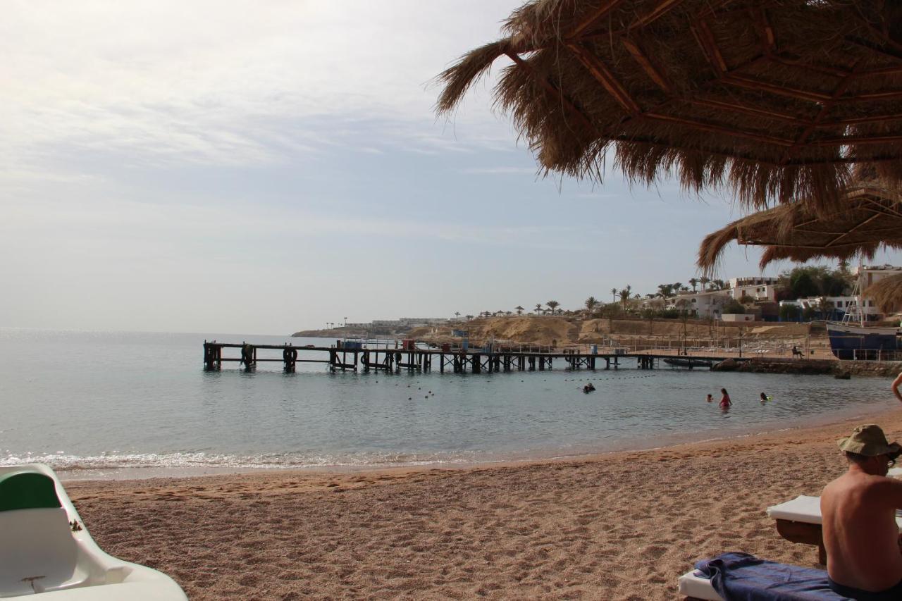 Sunshine Divers Club - Il Porto *