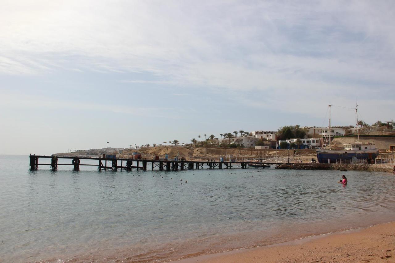 Oda ve Kahvaltı Sunshine Divers Club - Il Porto Şarm El-Şeyh