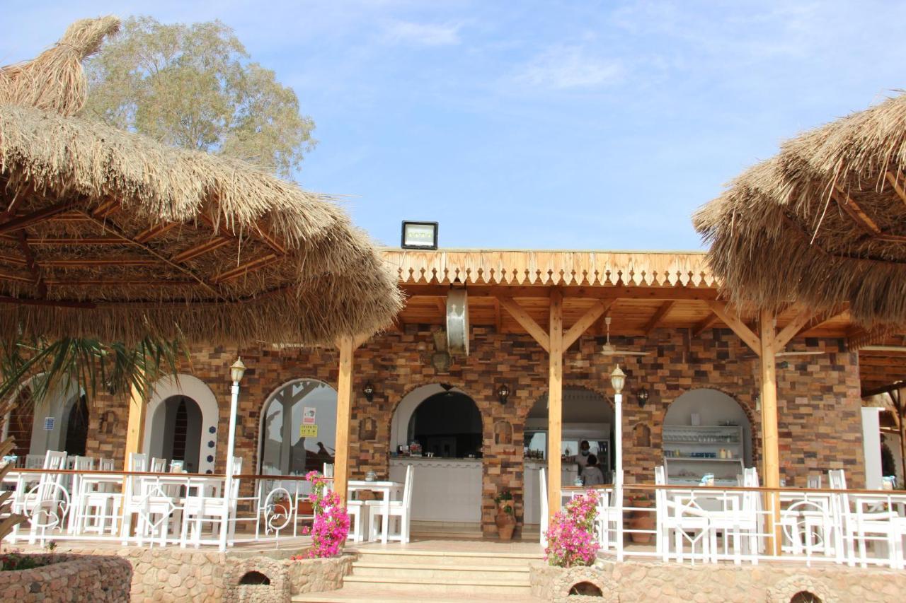 Oda ve Kahvaltı Sunshine Divers Club - Il Porto