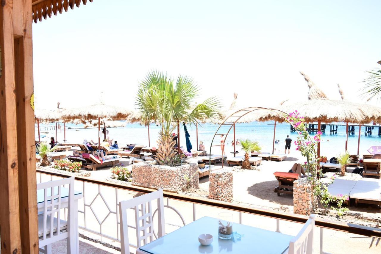Sunshine Divers Club - Il Porto *