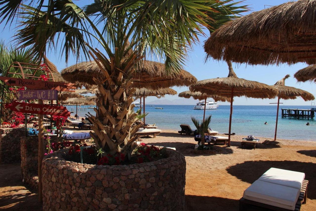 Oda ve Kahvaltı Sunshine Divers Club - Il Porto *