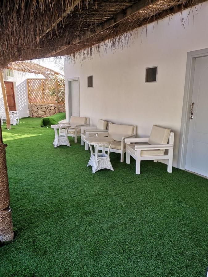 Sunshine Divers Club - Il Porto