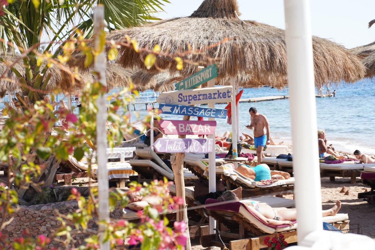 Oda ve Kahvaltı Sunshine Divers Club - Il Porto *